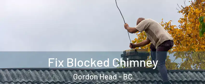  Fix Blocked Chimney Gordon Head - BC