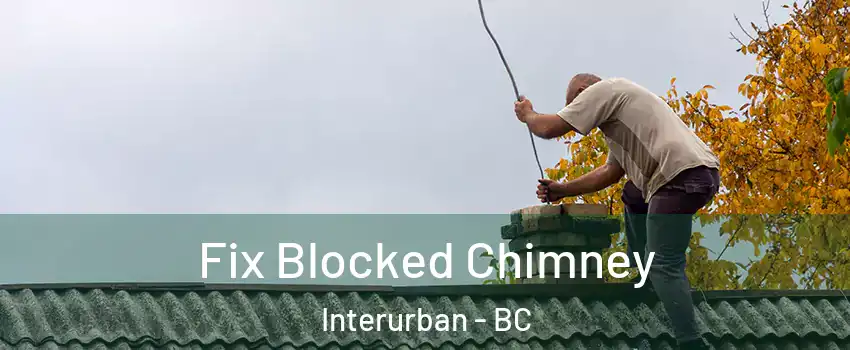  Fix Blocked Chimney Interurban - BC