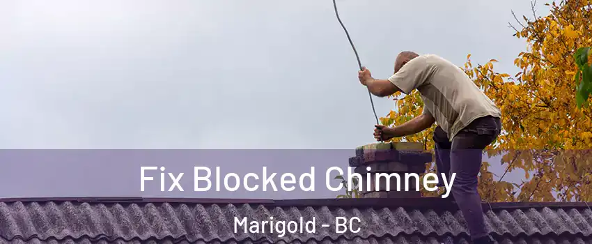  Fix Blocked Chimney Marigold - BC