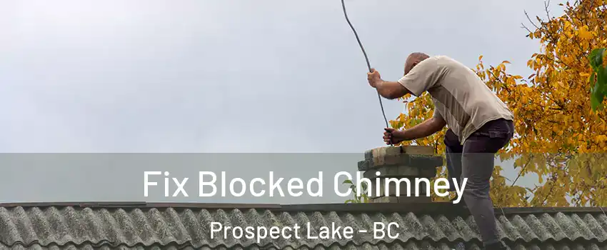  Fix Blocked Chimney Prospect Lake - BC