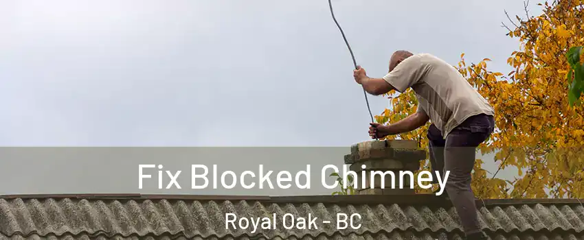  Fix Blocked Chimney Royal Oak - BC