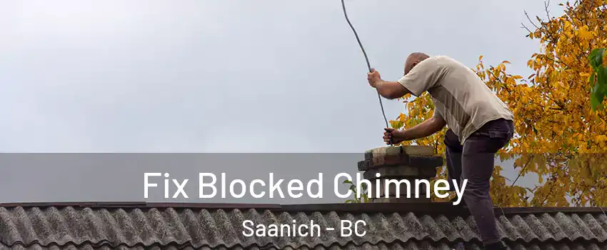  Fix Blocked Chimney Saanich - BC