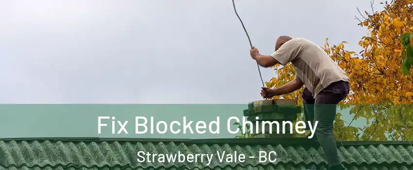  Fix Blocked Chimney Strawberry Vale - BC