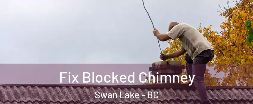 Fix Blocked Chimney Swan Lake - BC