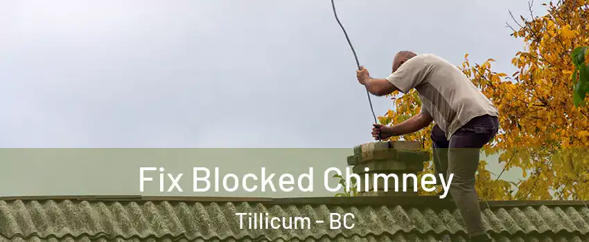 Fix Blocked Chimney Tillicum - BC