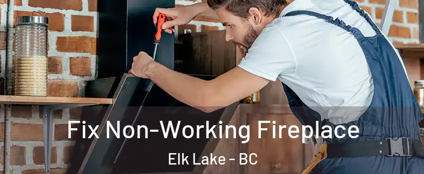  Fix Non-Working Fireplace Elk Lake - BC