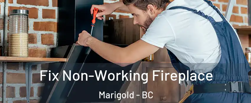  Fix Non-Working Fireplace Marigold - BC