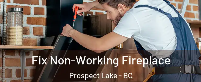  Fix Non-Working Fireplace Prospect Lake - BC