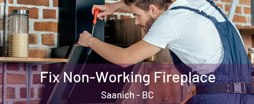  Fix Non-Working Fireplace Saanich - BC