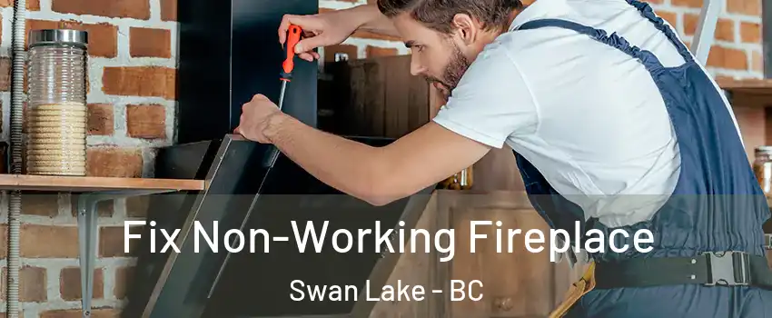 Fix Non-Working Fireplace Swan Lake - BC