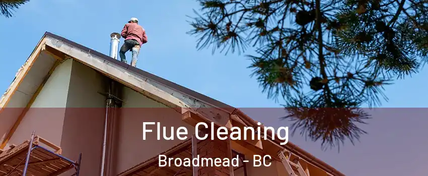 Flue Cleaning Broadmead - BC