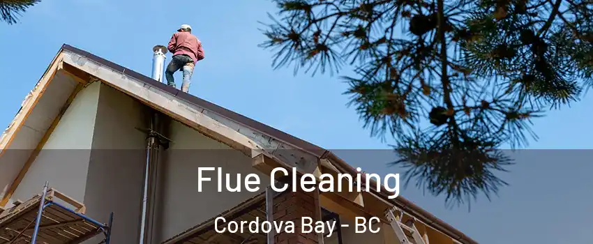 Flue Cleaning Cordova Bay - BC