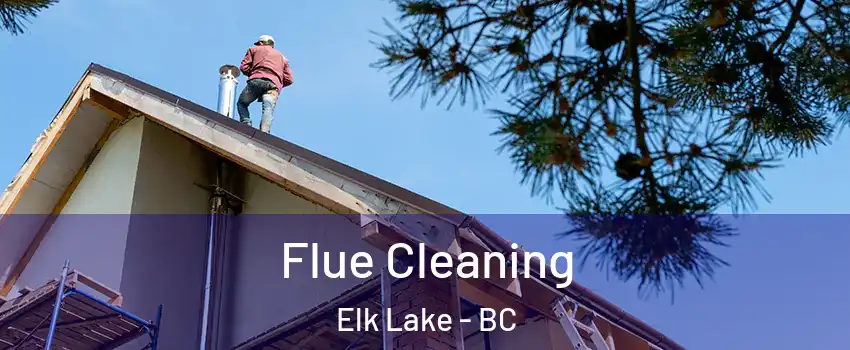  Flue Cleaning Elk Lake - BC