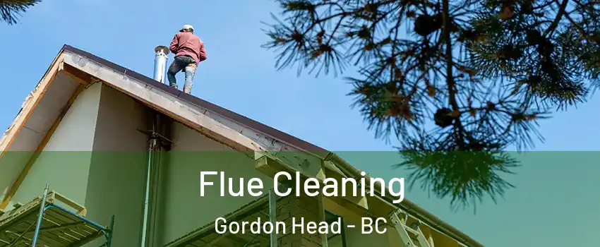  Flue Cleaning Gordon Head - BC