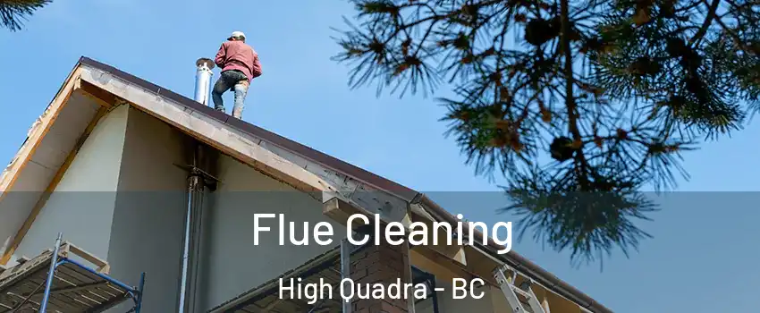  Flue Cleaning High Quadra - BC