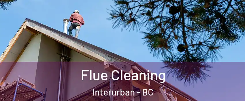 Flue Cleaning Interurban - BC