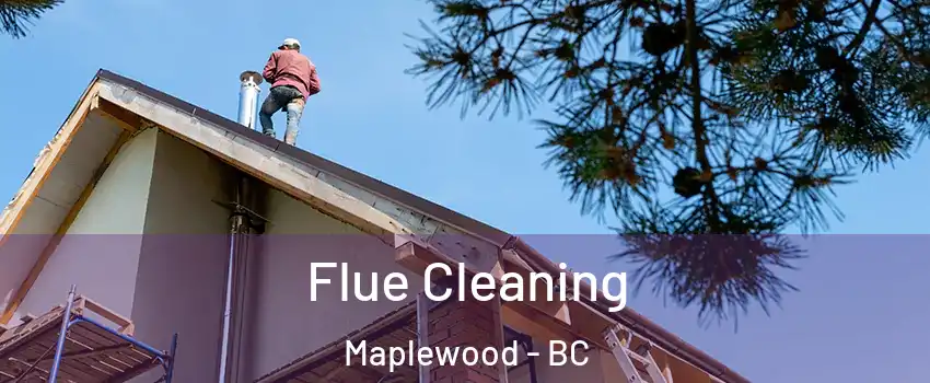  Flue Cleaning Maplewood - BC