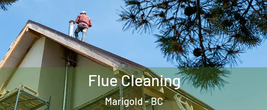  Flue Cleaning Marigold - BC