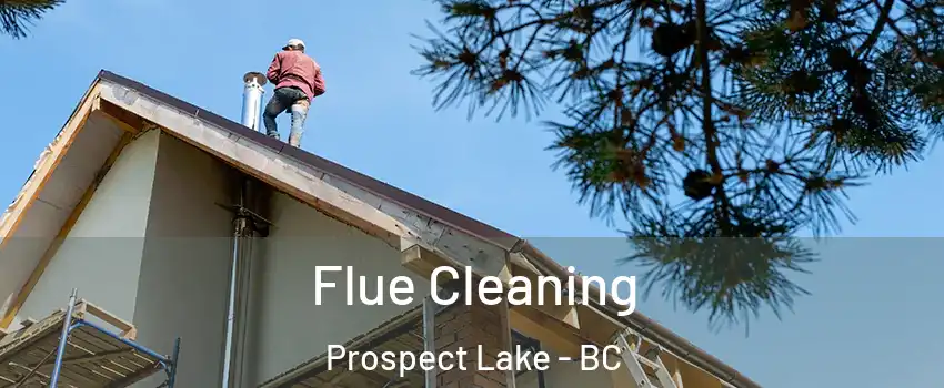  Flue Cleaning Prospect Lake - BC