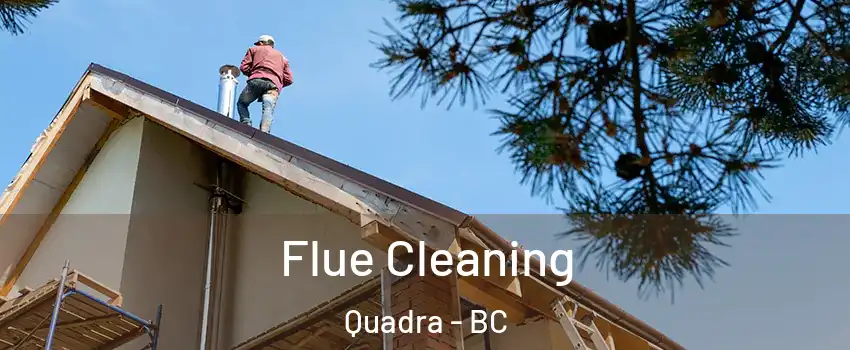  Flue Cleaning Quadra - BC