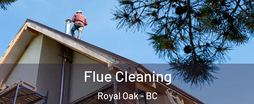  Flue Cleaning Royal Oak - BC