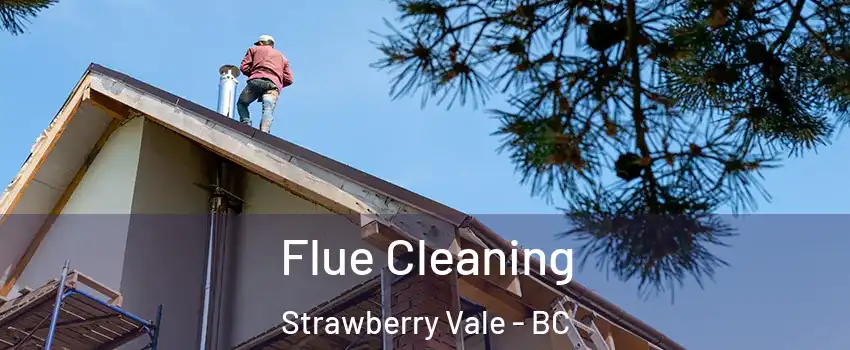  Flue Cleaning Strawberry Vale - BC
