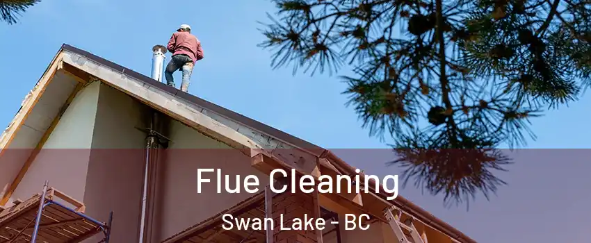 Flue Cleaning Swan Lake - BC