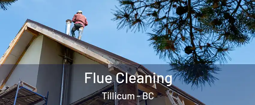  Flue Cleaning Tillicum - BC