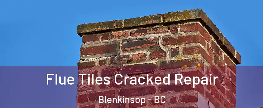  Flue Tiles Cracked Repair Blenkinsop - BC