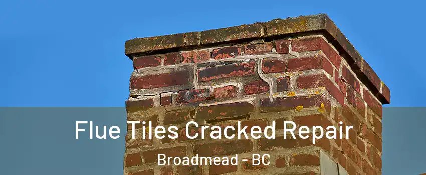  Flue Tiles Cracked Repair Broadmead - BC