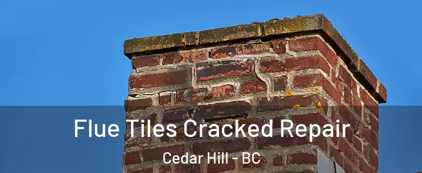  Flue Tiles Cracked Repair Cedar Hill - BC