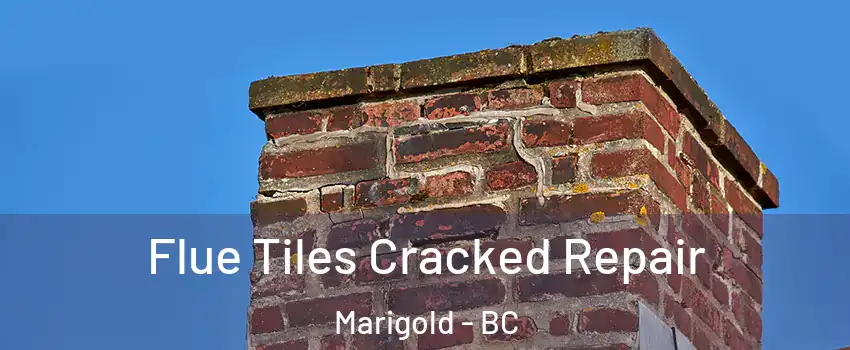  Flue Tiles Cracked Repair Marigold - BC