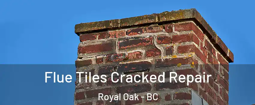  Flue Tiles Cracked Repair Royal Oak - BC