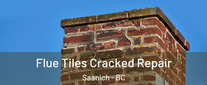 Flue Tiles Cracked Repair Saanich - BC