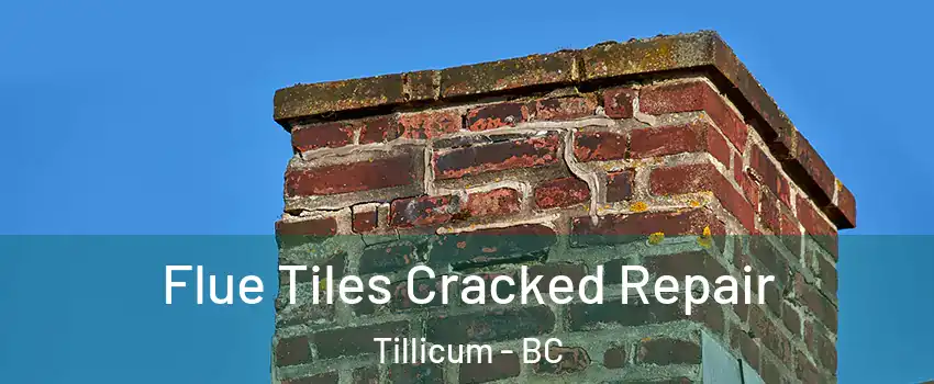  Flue Tiles Cracked Repair Tillicum - BC