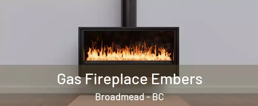  Gas Fireplace Embers Broadmead - BC