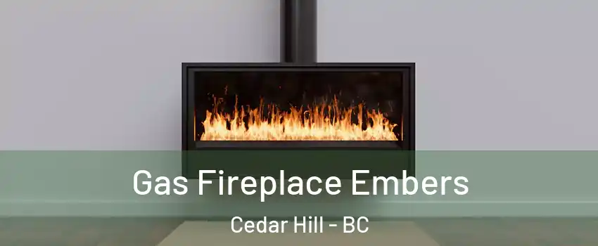 Gas Fireplace Embers Cedar Hill - BC