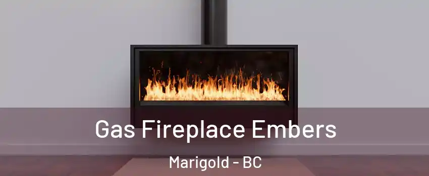  Gas Fireplace Embers Marigold - BC