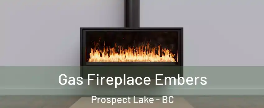  Gas Fireplace Embers Prospect Lake - BC