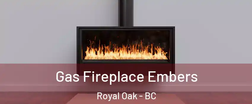 Gas Fireplace Embers Royal Oak - BC