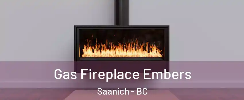  Gas Fireplace Embers Saanich - BC