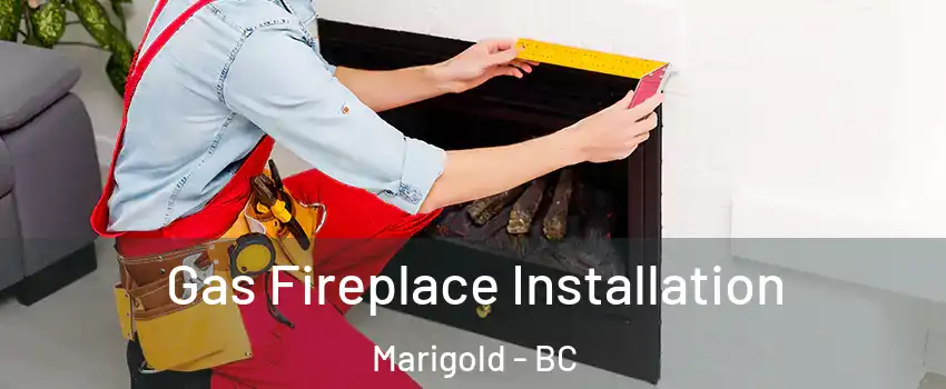  Gas Fireplace Installation Marigold - BC