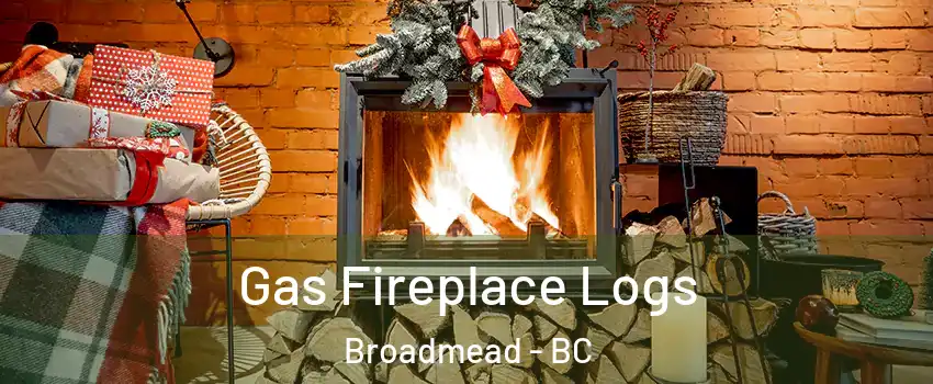  Gas Fireplace Logs Broadmead - BC