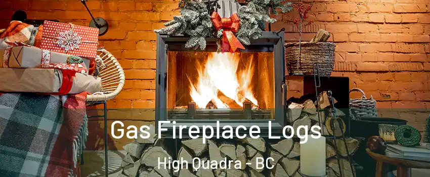  Gas Fireplace Logs High Quadra - BC