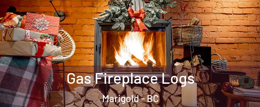  Gas Fireplace Logs Marigold - BC