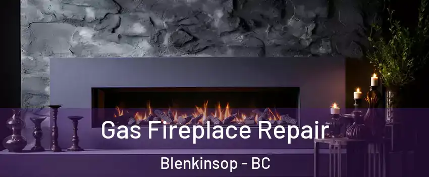  Gas Fireplace Repair Blenkinsop - BC
