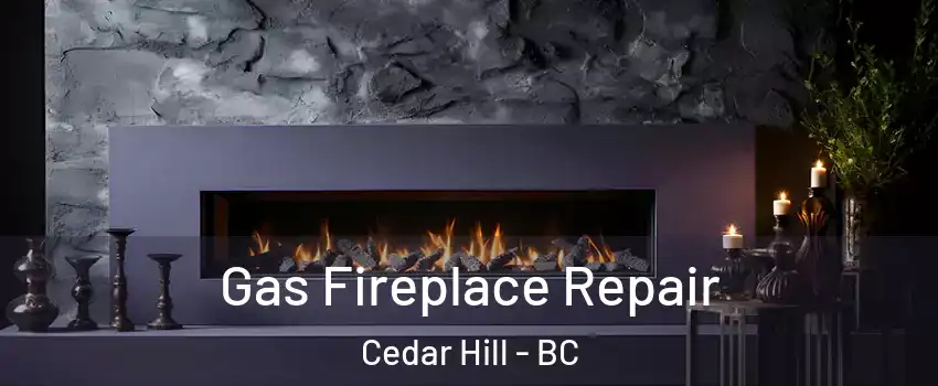 Gas Fireplace Repair Cedar Hill - BC