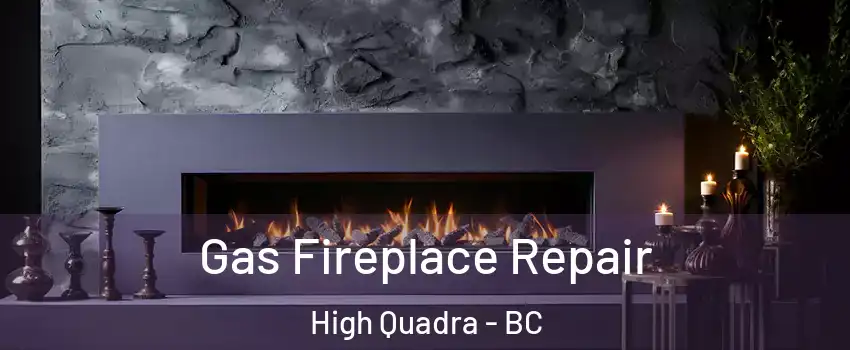  Gas Fireplace Repair High Quadra - BC