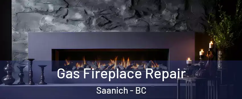  Gas Fireplace Repair Saanich - BC