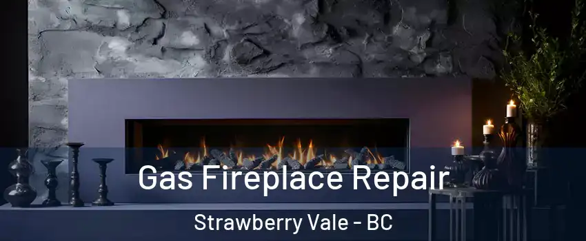  Gas Fireplace Repair Strawberry Vale - BC